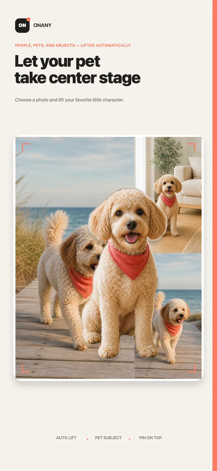 ONANY product image showing a pet extracted and placed above a collage